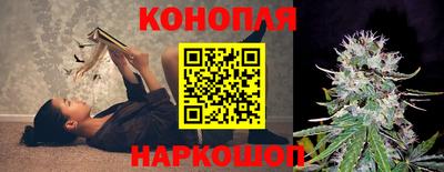 спайс Коммунар