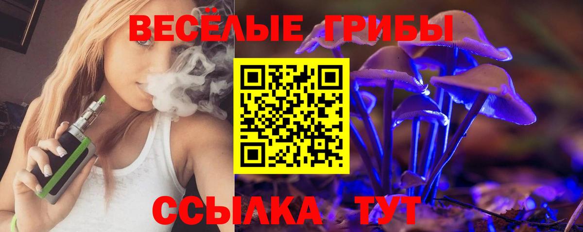 Псилоцибиновые грибы Magic Shrooms  Вход с VPN  Псилоцибиновые грибы Magic Shrooms  где продают   Заречный 